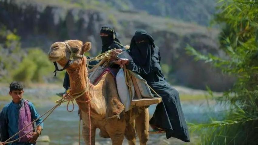 الجمال.. طوق النجاة الوحيد لإنقاذ النساء الحوامل في أرياف اليمن