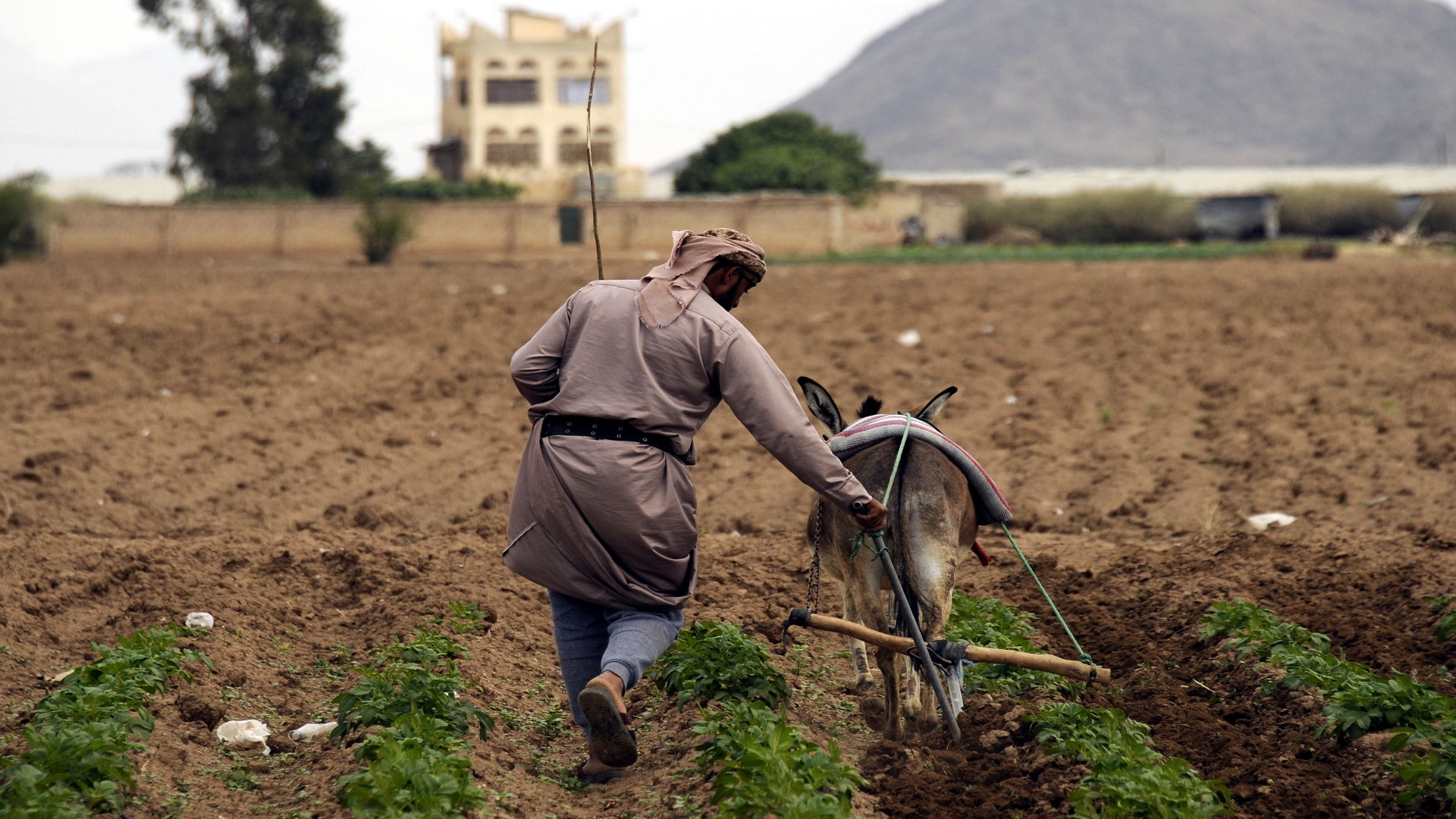 التغيرات المناخية الحادة تفاقم الاحتياجات الإنسانية في اليمن